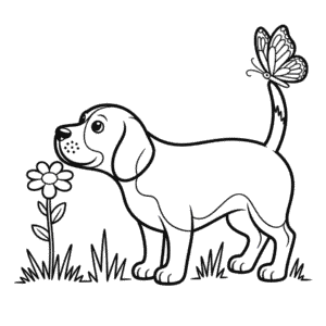 Kolorowanka Pies Rasy Beagle