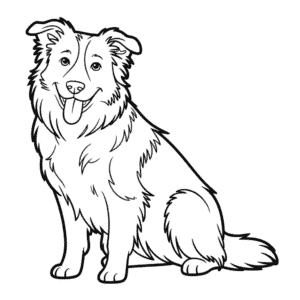 Kolorowanka Pies Rasy Border Collie
